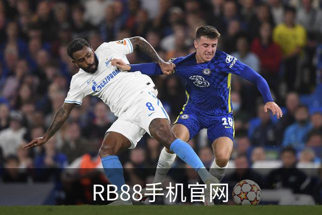 RB88手机官网公司介绍图